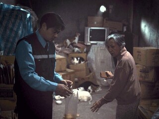 貓咪演員太搶戲 陸弈靜、鄭有傑同台靠貓當朋友