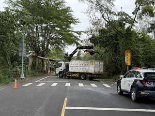 彰化員林騎士撞到倒塌路樹  全身擦挫傷送醫