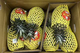 台南鳳梨新加坡食品展受歡迎 首批6噸外銷星國裝櫃