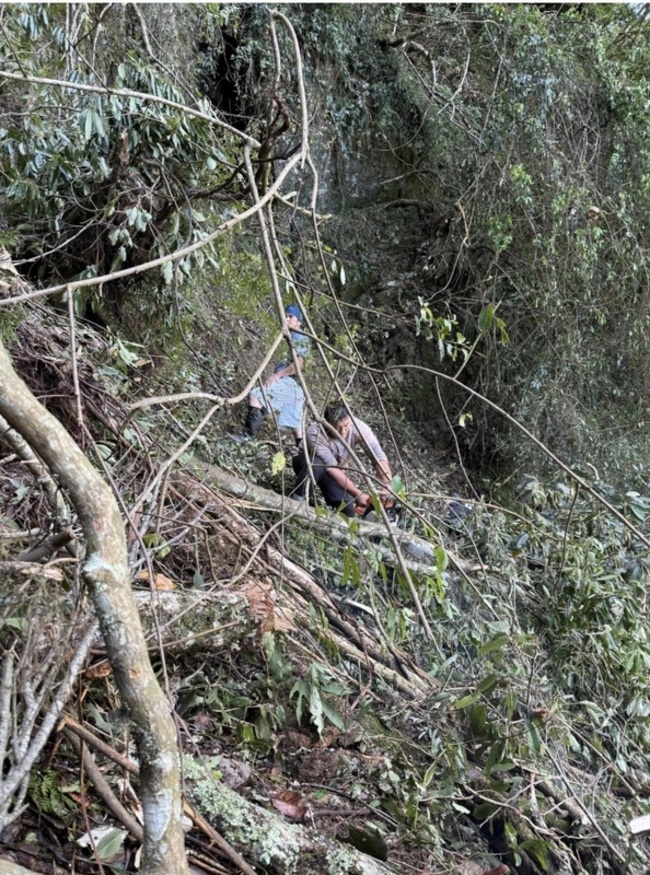 玉山八通關步道倒木阻路 玉管處搶通助山友下山 | 華視新聞