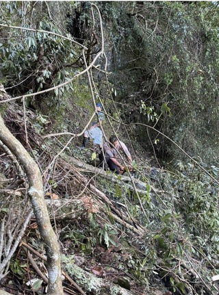 玉山八通關步道倒木阻路  玉管處搶通助山友下山