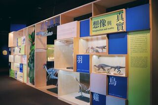 科博館「自然藝想」開展  呈現逾40件標本與模型