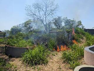 桃市大溪墓園雜草燃燒 6旬男疑跌落火堆送醫不治