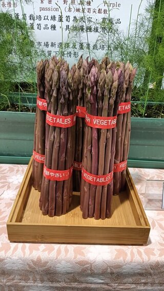 首個本土紫蘆筍「台南5號」育成 幾乎可全年栽種