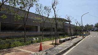 打造黃花風鈴木步道  竹縣寶山推在地觀光