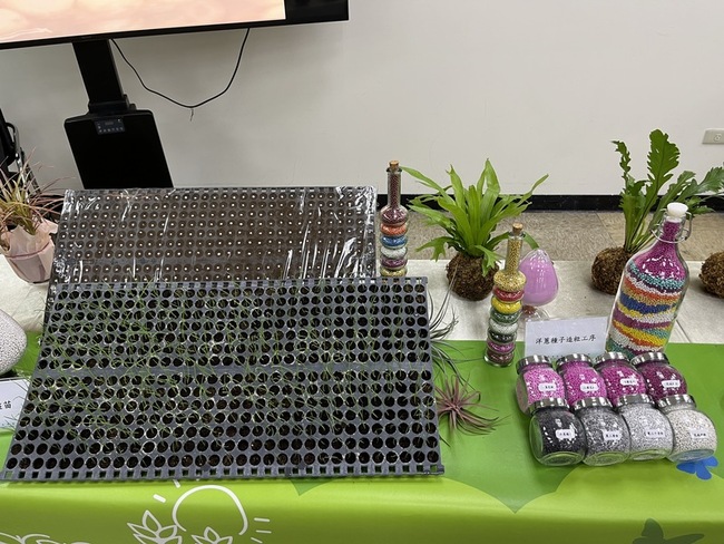 人口老化洋蔥種子育苗缺工 種苗場全程機械化 | 華視新聞