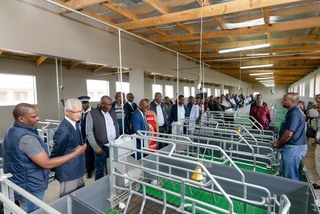 核心種豬場啟用 史瓦帝尼養豬產業邁入新時代