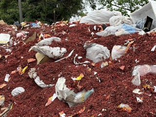 北港朝天宮迎媽祖鞭炮灰減少 環保宣導奏效