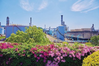 永續航空燃油趨勢  中油桃煉廠拚明年第2季自產SAF