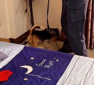 馬公警方網路巡邏  查獲租屋K毒