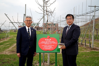 台南規劃新設道路命名「弘前路」 紀念友誼市締結