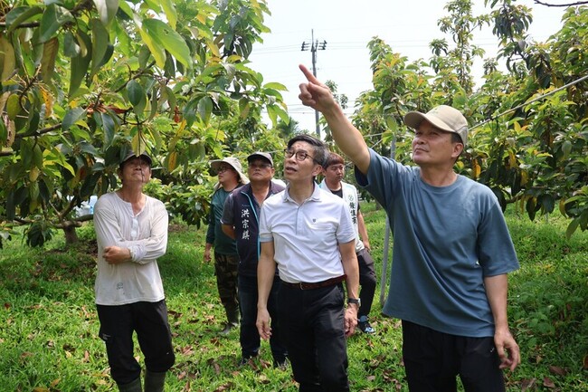 屏東酪梨落果嚴重  初估結果率不到2成 | 華視新聞