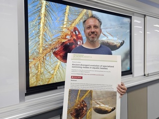 中山大學研究溯源遠古牙蟲 提出游泳演化推論