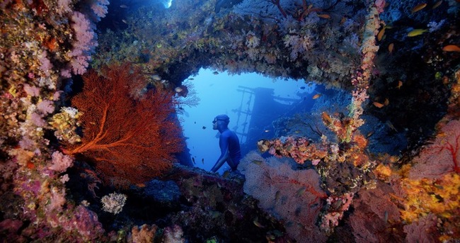 「沈睡的水下巨人」探索海底  導演：畫面很養眼 | 華視新聞
