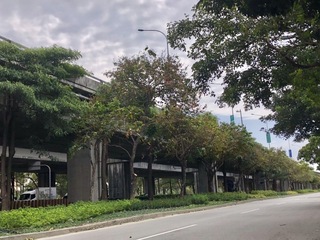 高架道路下方空間綠化  中市府籲企業認養