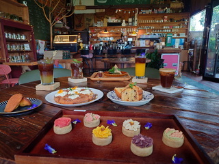 民雄魚塭變身魚罐頭咖啡館 吸引奈良美智光顧