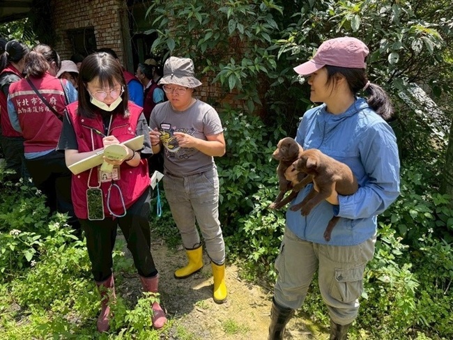新北查獲非法犬隻繁殖場  重罰116萬8000元 | 華視新聞