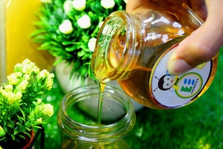 花期盛開蜂蜜產量回升 較正常年多1至2成