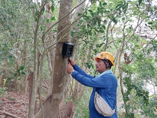 台灣黑熊現蹤浸水營步道 創台東最南蹤跡紀錄
