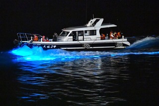 藍眼淚陸續湧現馬祖海岸 達人帶路賞淚縣府推8場