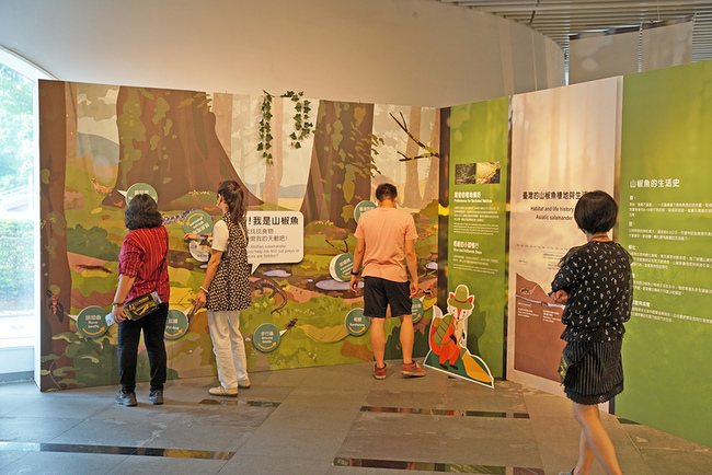 國資圖展出台灣山椒魚特展 一窺高山生態秘境 | 華視新聞