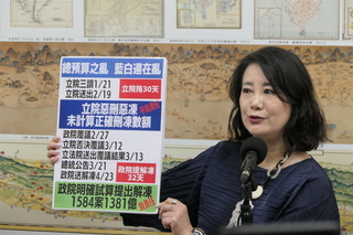 總預算解凍報告  綠：在野黨不思檢討卻譴責被害者