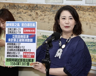 藍白426凱道集會  綠：不樂見五星旗、納粹符號