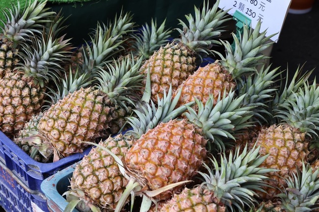 台南鳳梨好筍季熱鬧登場 體驗當地農產好時機 | 華視新聞