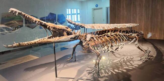 澎湖化石館開幕 展出國寶級潘氏澎湖鱷化石 | 華視新聞
