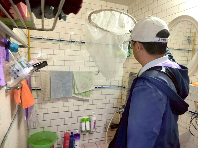 台南第2例登革熱境外移入 菲律賓探親返台發病 | 華視新聞