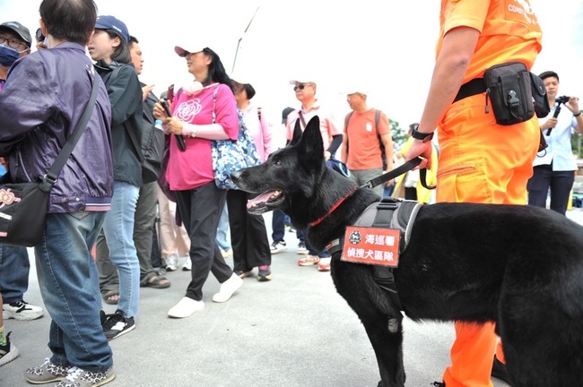 海巡偵搜犬鐵諾退役最後巡禮 遊客爭相合影留念 | 華視新聞