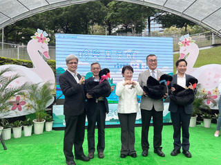 秋紅谷黑天鵝3代變15隻 鵝子鵝女3對送北市及2大學