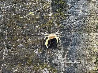 中山大學遭檢舉排污水 校方：改善接管檢測已無異常