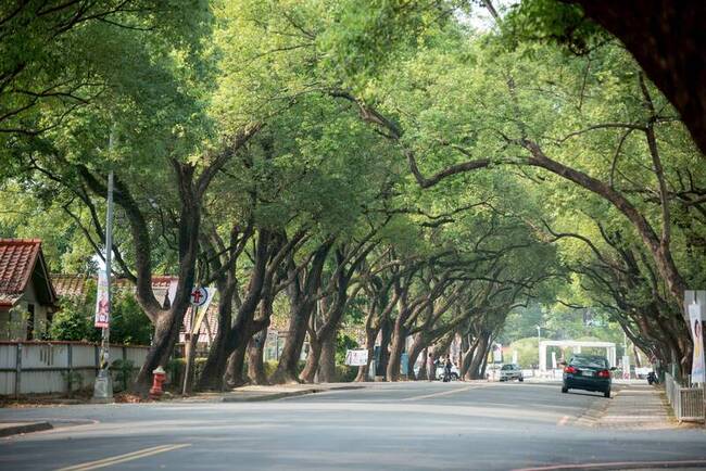 中興新村5/3「野起來」 賞荷野餐音樂饗宴一次打包 | 華視新聞