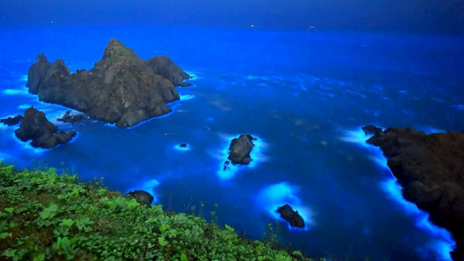 馬祖追藍眼淚民眾酒駕自摔起訴 安全追淚達人教撇步 | 華視新聞