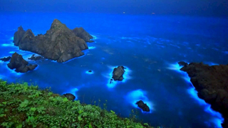 馬祖追藍眼淚民眾酒駕自摔起訴 安全追淚達人教撇步