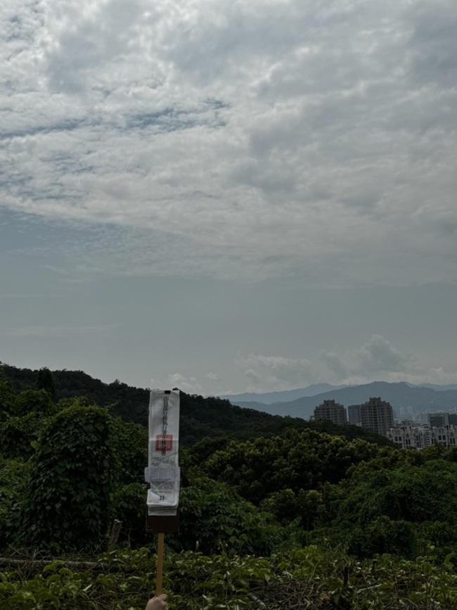 美麗華董事黃春照欠稅逾2億元 名下5筆土地5/6拍賣 | 華視新聞