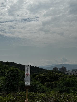 美麗華董事黃春照欠稅逾2億元 名下5筆土地5/6拍賣