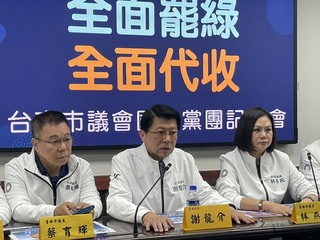 台南藍軍啟動全面罷綠代收連署書 綠營不解、譴責