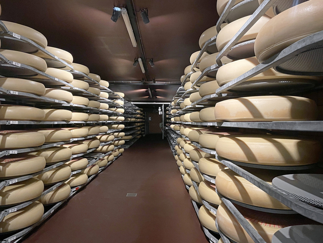 瑞士艾曼塔起司美味象徵在孔洞 人工造洞保留傳統 | 華視新聞