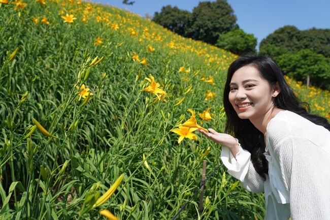 虎山巖30萬株金針花季開幕 估母親節盛開續至7月 | 華視新聞