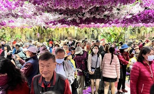 台灣國際蘭展吸客 帶動鄰近地區觀光熱潮