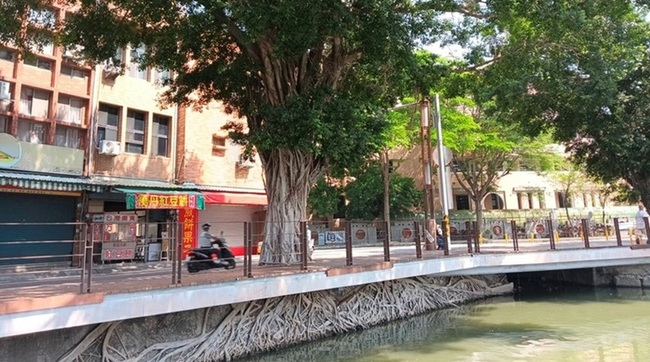 高雄蓮池潭「天空之城」樹景 倒數一週劃句點 | 華視新聞