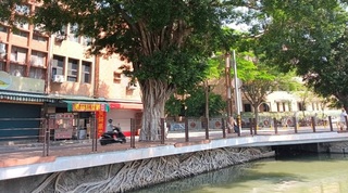 高雄蓮池潭「天空之城」樹景 倒數一週劃句點