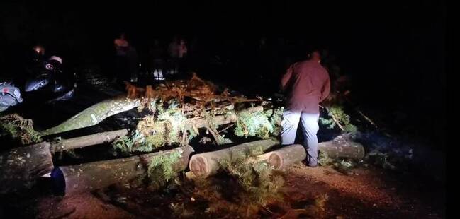 台中和平午後陣雨樹倒阻路 警助38人脫困下山 | 華視新聞