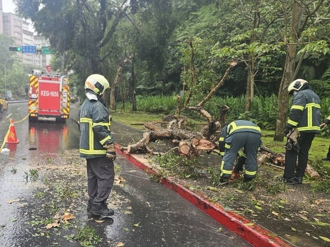 北市辛亥隧道出口附近路樹傾倒 幸無人傷 | 華視新聞