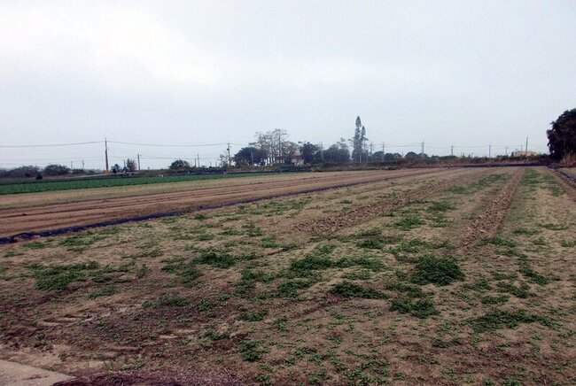 嘉義男未經許可捕鮪魚罰400萬 拍賣農地抵繳部分 | 華視新聞