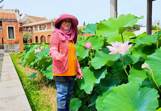 嘉義縣表藝中心荷花池重生  5月美景再現 | 華視新聞