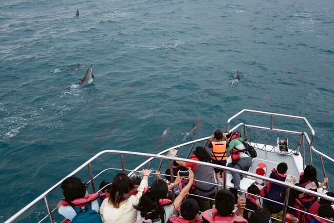 福爾摩沙協會攜企業帶偏鄉學童出海 盼深化海洋教育 | 華視新聞