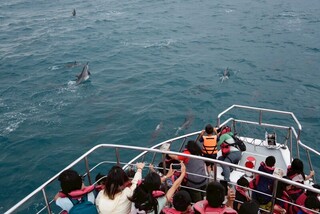 福爾摩沙協會攜企業帶偏鄉學童出海 盼深化海洋教育